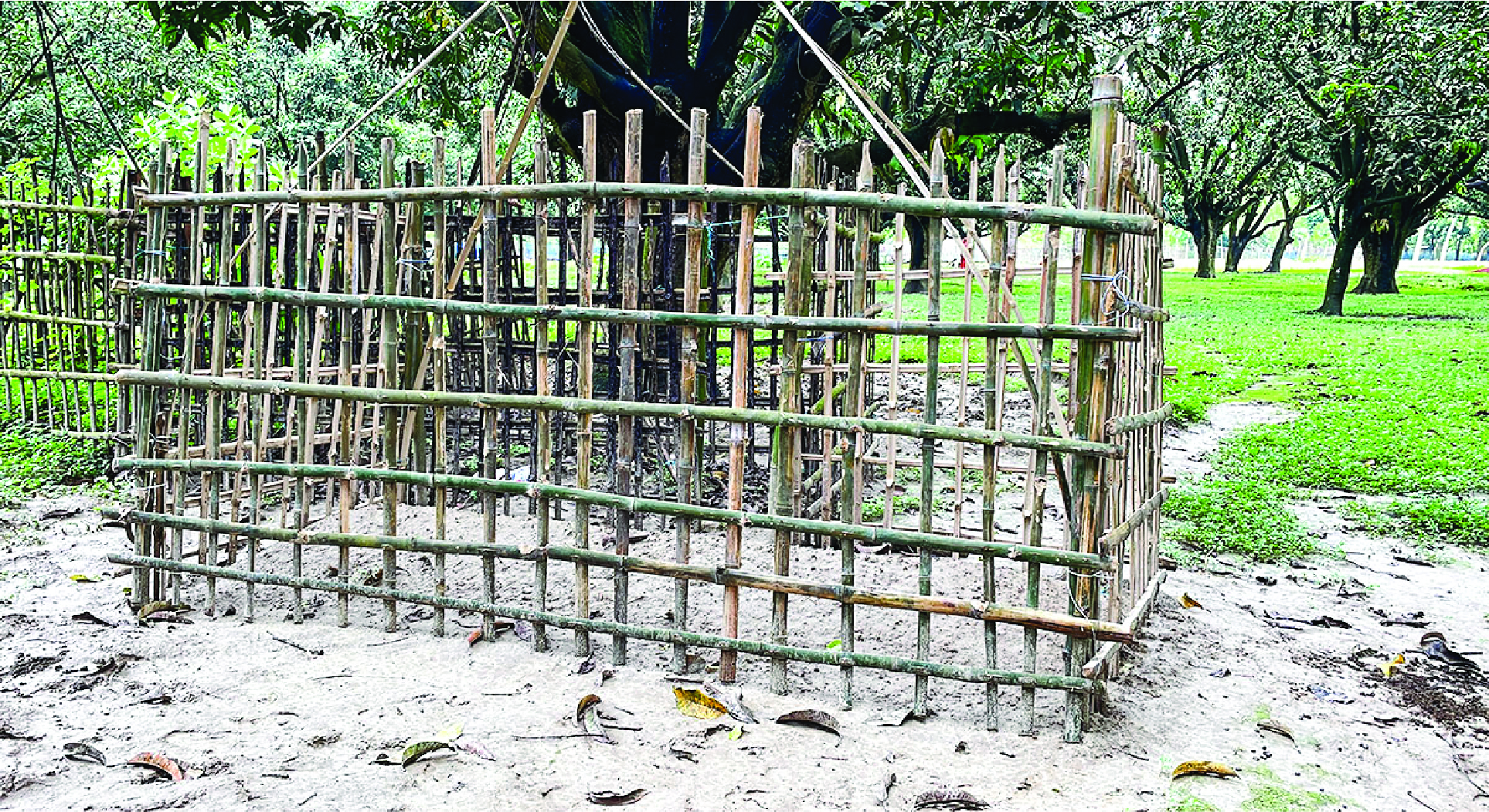 Image of মো: তারিক হোসেন
